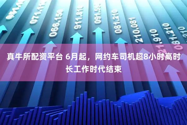 真牛所配资平台 6月起，网约车司机超8小时高时长工作时代结束